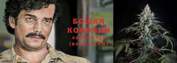 сатива Абдулино