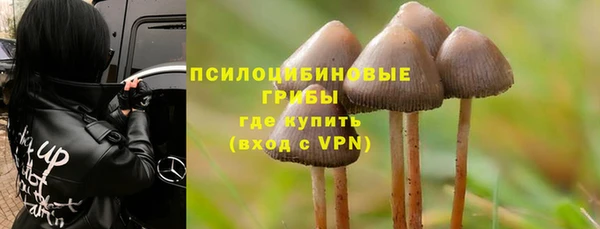 сатива Абдулино
