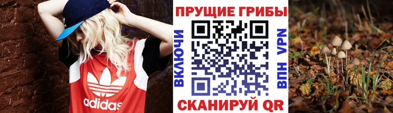 Псилоцибиновые грибы мухоморы  Приморско-Ахтарск 